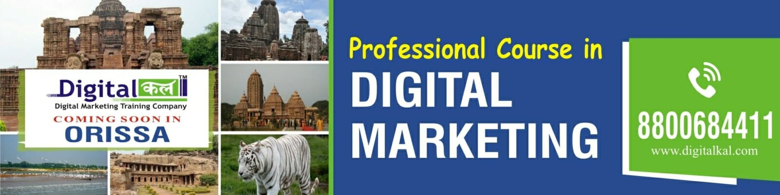 Digital Marketing Training Orissa Digital Marketing Course in Odisha